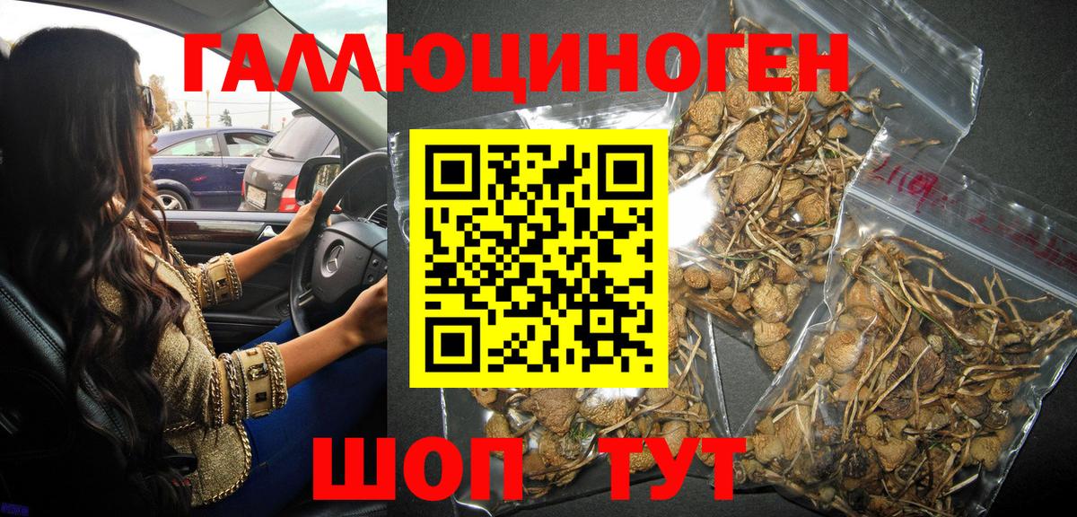 Галлюциногенные грибы мухоморы  Псилоцибиновые грибы Psilocybe  Вход с VPN  Алушта 